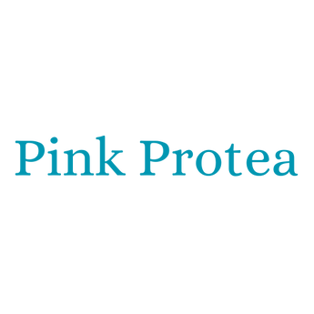Pink Protea