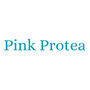 Pink Protea